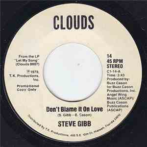 Steve Gibb - Don't Blame It On Love download flac mp3