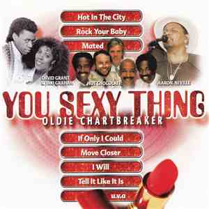 Various - You Sexy Thing download flac mp3