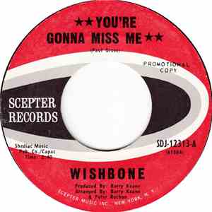 Wishbone  - You're Gonna Miss Me download flac mp3