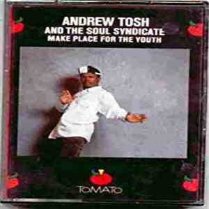 Andrew Tosh And The Soul Syndicate - Make Place For The Youth download flac mp3