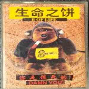 生命之饼 = B Of Life - 你是该死的 = Damn You! download flac mp3