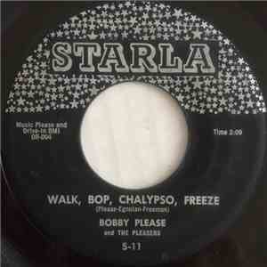 Bobby Please And The Pleasers  - Walk, Bop, Chalypso, Freeze / 2 A.M. On Mulholland Drive download flac mp3