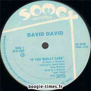 David David - If You Really Care / Sunshine Love flac mp3 download