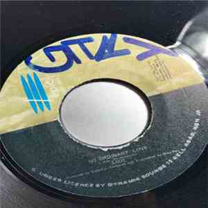 Sade - No Ordinary Love download flac mp3
