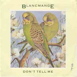 Blancmange - Don't Tell Me download flac mp3