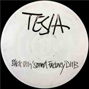 Greymatter  - Tesla (Black Fan 'Sound Factory' Dub) download flac mp3