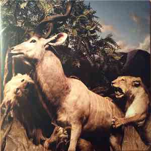 Interpol - Our Love To Admire download flac mp3