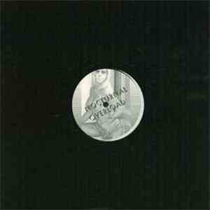 Nocturnal Overload - Tell You What flac mp3 download