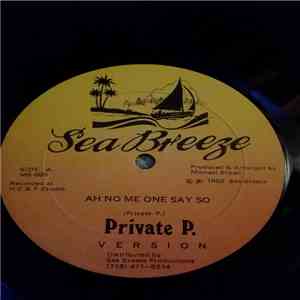 Private P, Rude Boy Irie - Ah No Me One Say So / Gunslinger flac mp3 download
