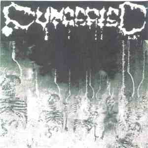 Putrefied  - Putrefied download flac mp3
