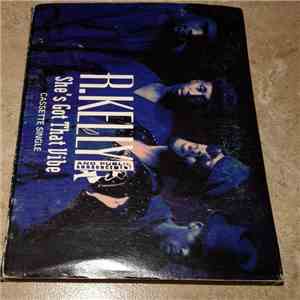 R. Kelly & Public Announcement - She's Got That Vibe download flac mp3
