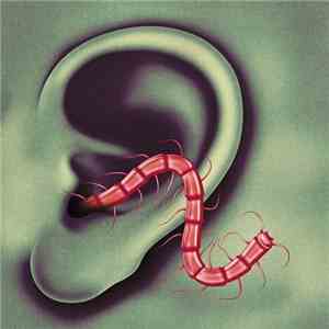 Thee Oh Sees - An Odd Entrances download flac mp3