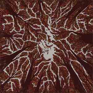 Trash Boat - Crown Shyness download flac mp3