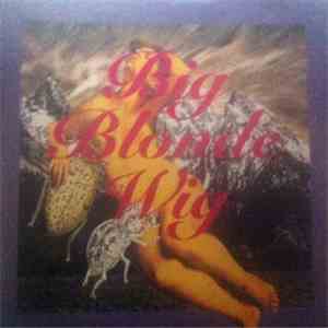 Big Blonde Wig - Big Blonde Wig download flac mp3