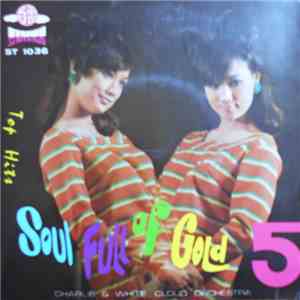 Charlie & White Cloud Orchestra - Top Hits 5 - Soul Full Of Gold download flac mp3