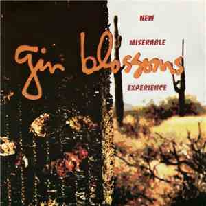 Gin Blossoms - New Miserable Experience download flac mp3