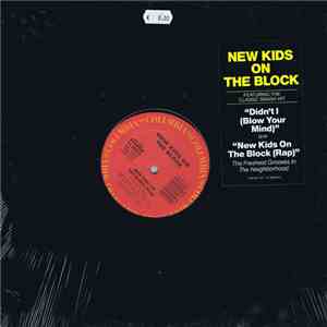 New Kids On The Block - Didn't I (Blow Your Mind) / New Kids On The Block (Rap) download flac mp3