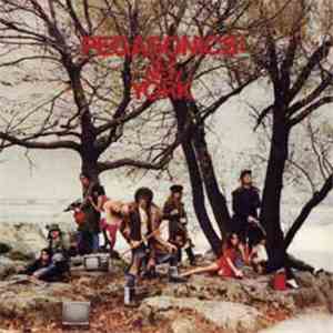 Pegasonics - New New York download flac mp3