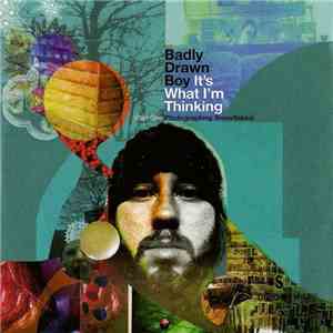 Badly Drawn Boy - It's What I'm Thinking (Part One : Photographing Snowflakes) download flac mp3