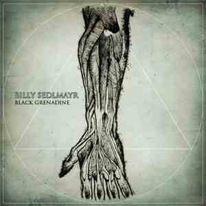 Billy Sedlmayr - Black Grenadine download flac mp3