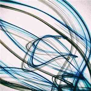 Brainfeeder - Basic Channel download flac mp3