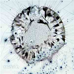 Crashride - Crashride download flac mp3
