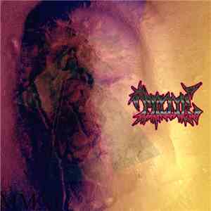 Polair - MMXI download flac mp3