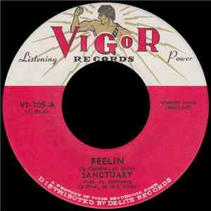 Sanctuary  - Feelin download flac mp3