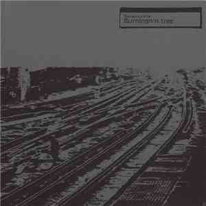 Squarepusher - Burningn'n Tree download flac mp3
