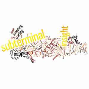 Subterminal - Insight download flac mp3