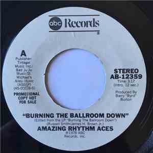 The Amazing Rhythm Aces - Burning The Ballroom Down / All That I Had Left (With You) flac mp3 download