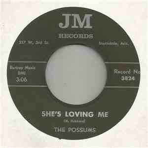 The Possums  - She's Loving Me download flac mp3