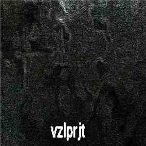 vzlprjt - vzlprjt download flac mp3