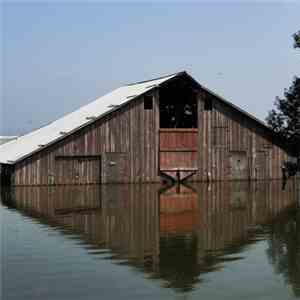 Mutts  - Pray For Rain flac mp3 download
