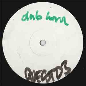 Quest Foundation - Diplomatic Guns download flac mp3