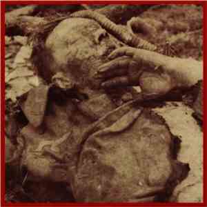 Voluntary Torture - Decay Of Society download flac mp3