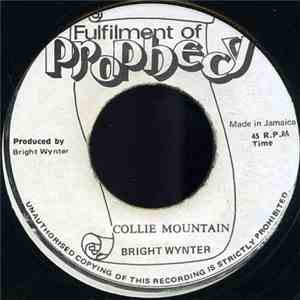 Bright Wynter - Collie Mountain download flac mp3