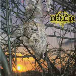 Infanticide  - Infanticide download flac mp3