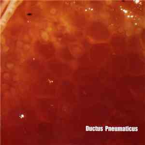 Phil Minton, Torsten Müller - Ductus Pneumaticus download flac mp3