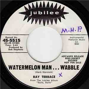 Ray Terrace - Watermelon Man / Ray's Beat download flac mp3