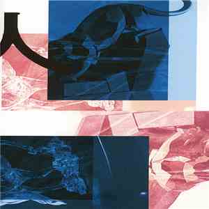 Various - Standards Of Beauty download flac mp3