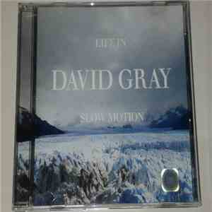 David Gray - Life In Slow Motion download flac mp3