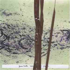 James Fella - Salvaged Tape download flac mp3