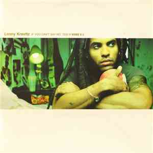 Lenny Kravitz - If You Can't Say No download flac mp3