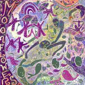 Moonflowers  - The Black Beetles And The White Bird download flac mp3