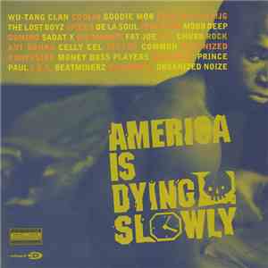 Various - America Is Dying Slowly download flac mp3