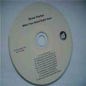 Drew Porter  - What You Need Right Now download flac mp3