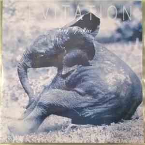 Levitation  - King of Mice download flac mp3