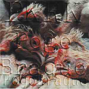 Pkrk - Pogo Braque download flac mp3