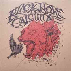 Black Hole Of Calcutta - Black Hole Of Calcutta flac mp3 download